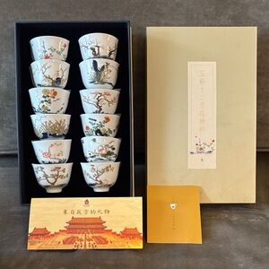 Hand-Painted Porcelain Set of 12 Tea Cups with Gift Box - Floral Motifs